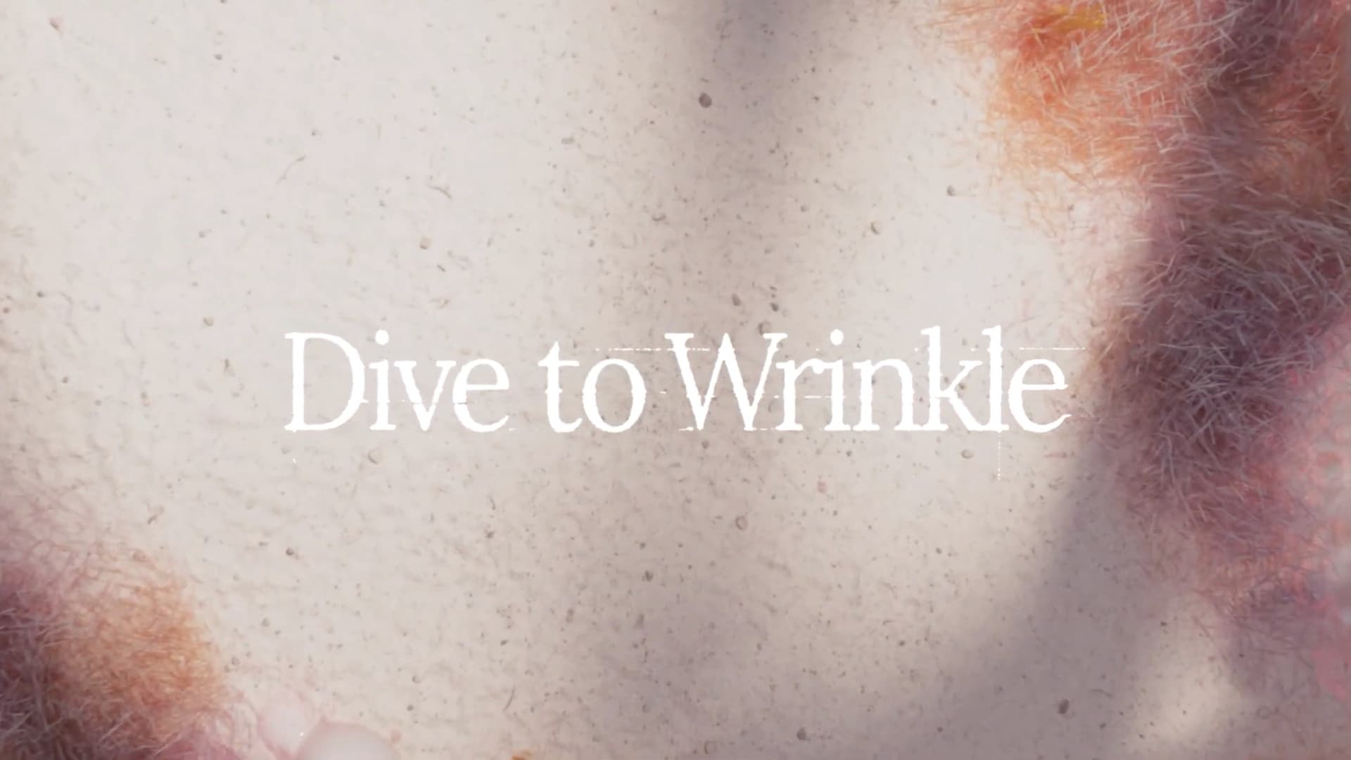 Wrinkleshot / Dive To Wrinkle